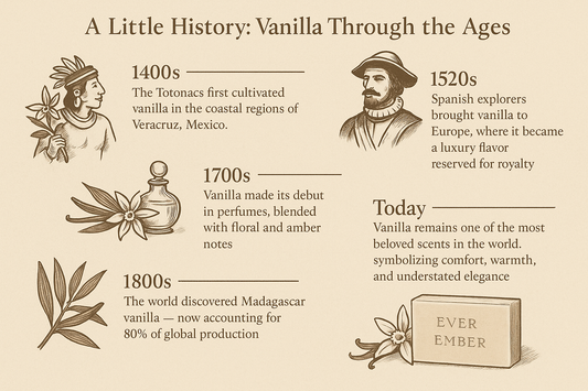 a little history of vanilla through the ages graphic